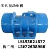 YZO-140-6B振动电