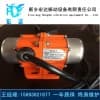 MVE200/3振动电机