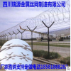 刀片刺绳网安装/瑞丰源金属丝网