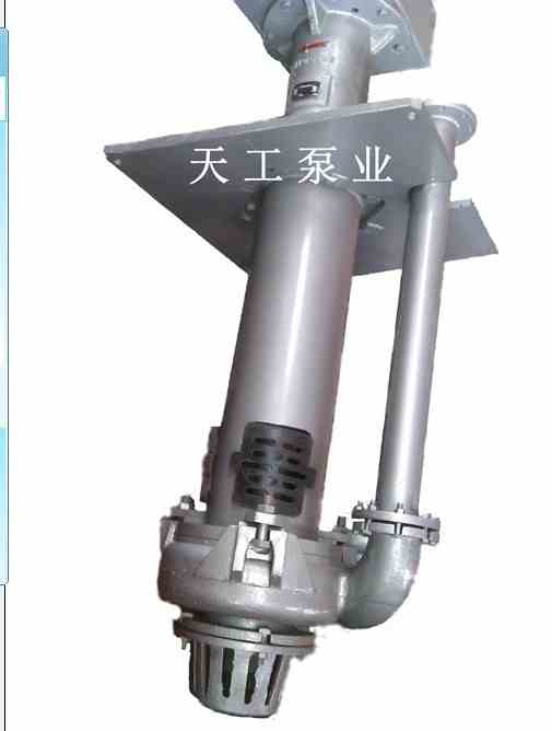 TY（R)液下泵/天工泵业